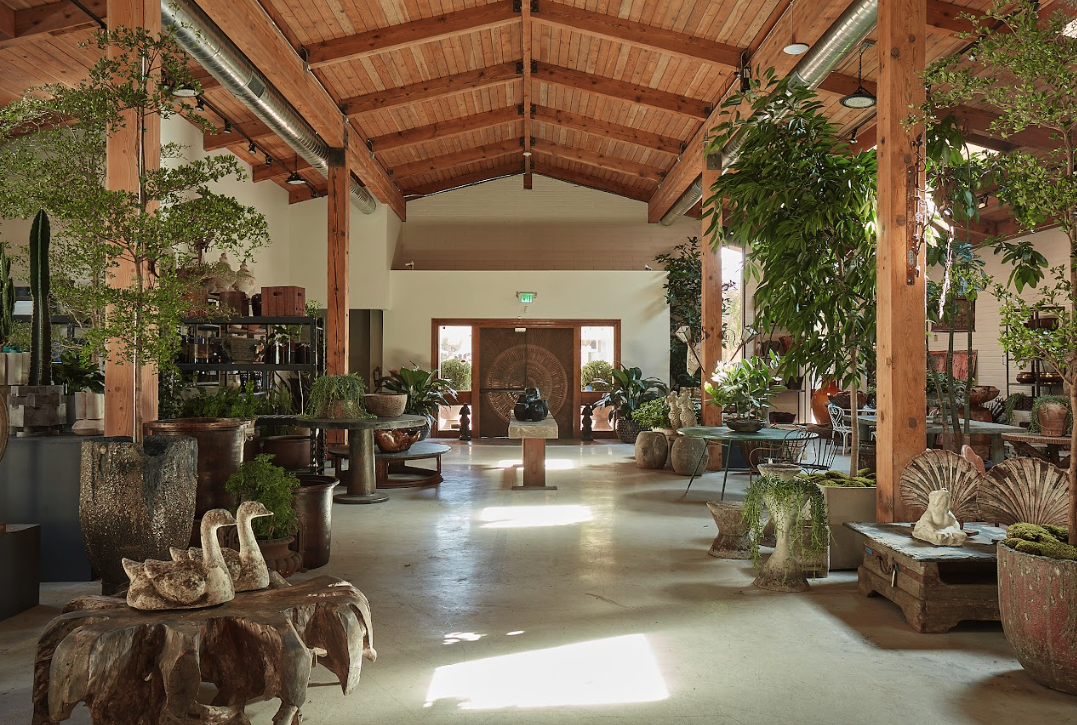 Celebrity Landscape Designer